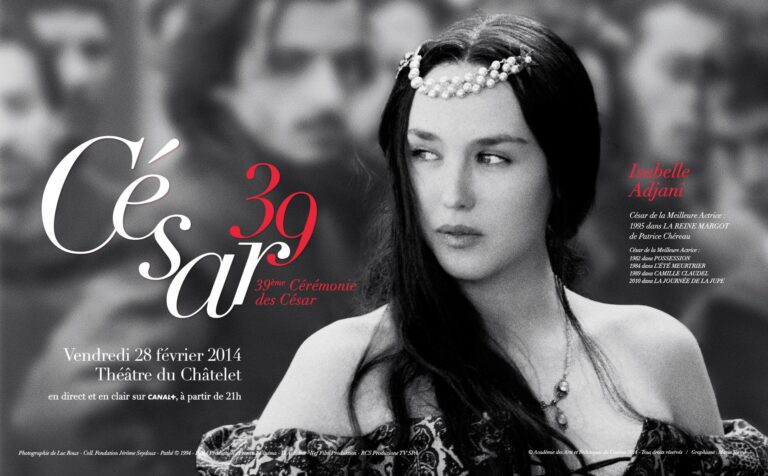 affiche césar 2014 bandeau