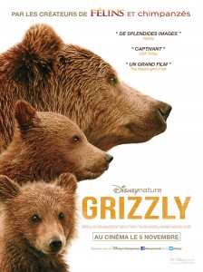 bears poster