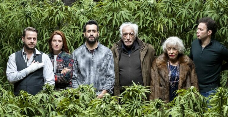 Gérard Darmon, Jonathan Cohen et Julia Piaton parmi le cast de la série de Netflix Family Business
